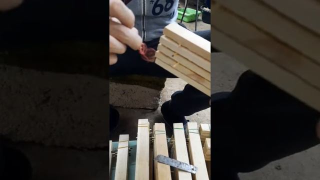 сбор яйиц чёрной львинки.Узбекистан смотреть онлайн