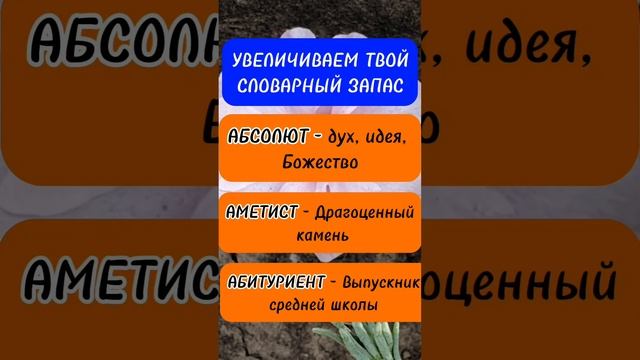 УВЕЛИЧИВАЕМ ТВОЙ СЛОВАРНЫЙ ЗАПАС #shots #shortvideo #слова смотреть онлайн