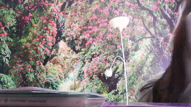 Нормальные люди vs Я. Скеч смотреть онлайн