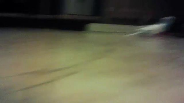Кеша не умеет летать смотреть онлайн