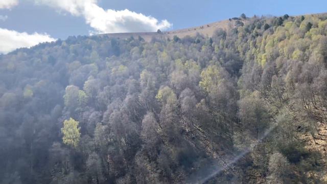 Нарзан Аман къол