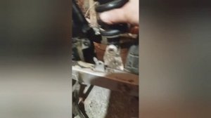 Тюнинг  мопеда Альфы ставим моноамортизатор и заднее колесо на 16 .110 .90.