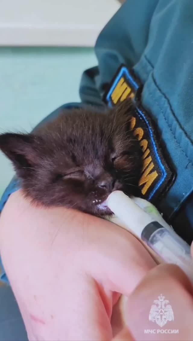 В надежных руках огнеборцев МЧС России смотреть онлайн