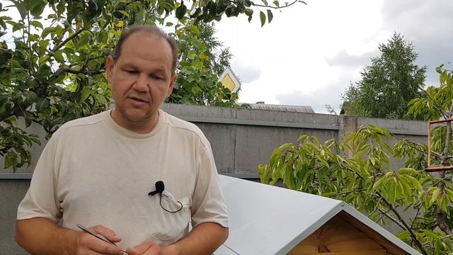 ПЧЕЛИНЫЙ ЯД. МОЙ ЛИЧНЫЙ ОПЫТ ПЧЕЛОУЖАЛИВАНИЯ смотреть онлайн