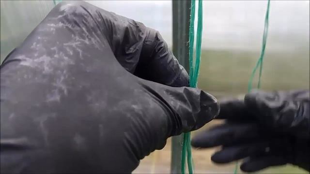 Пасынкование томатов в теплице. Подвязка томатов. смотреть онлайн