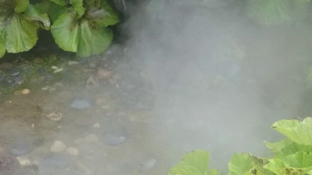 Писающая девушка