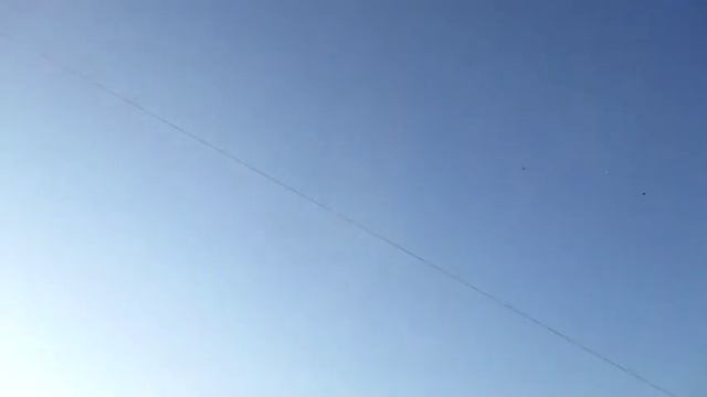 Двухчубые летно-игровые голуби Средней Азии ( Амосов Ф . Астрахань ) смотреть онлайн