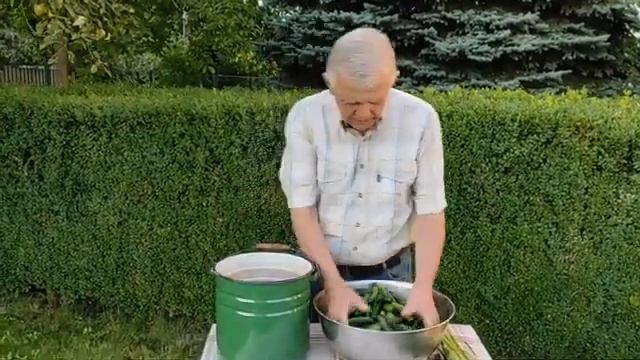 ?  Огірки квашені. Надійний рецепт. @NEWSplusUA 