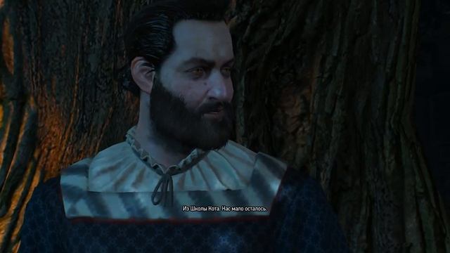 witcher3 Острова Скеллиге Деревня Троттхейм Распутывая клубок смотреть онлайн