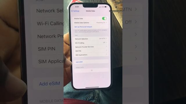Activate E-Sim on iPhone 12pro max And 13pro max“ 100% Possible ?? #shortsfeed #mobile #iphone смотреть онлайн