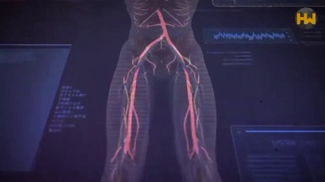 Ridddle удаленние видео №2