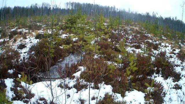 Красоты нашего района 84 выпуск, работа за кипела,работаем в два кустореза, STIHL и Makita смотреть онлайн