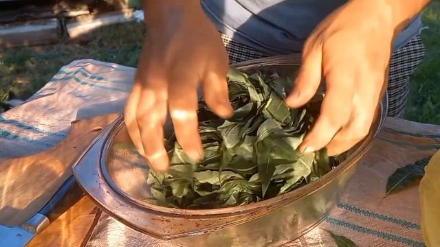 "Иван-чай“ Кипрей ферментация. смотреть онлайн