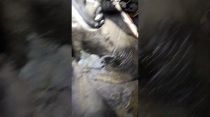 как просто заливать масло в КПП ВАЗ 2105 без ямы