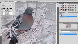 Как отредактировать фото в программе фотошоп