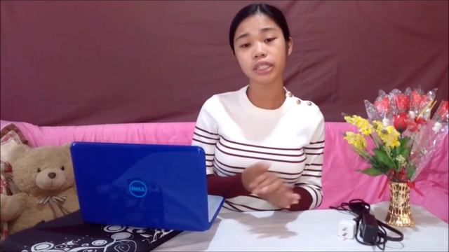 Dell Inspiron Netbook TechReview