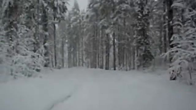 Снежно в лесу 06.02.12 смотреть онлайн