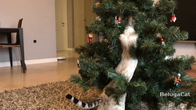 Xmas tree and Beluga Cat & Ёлочка и кот Белуга смотреть онлайн