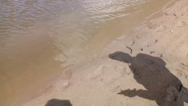 Кастинговая сеть. Рыбалка без кольца. Алтайский край река Чумыш. смотреть онлайн