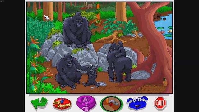 Junior Field Trips: Let's Explore The Jungle With Buzzy The Knowledge Bug Walktrough смотреть онлайн
