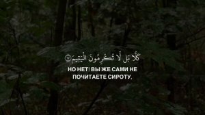 Мухаммад Шариф Эльджаркиев | сура «аль Фаджр»