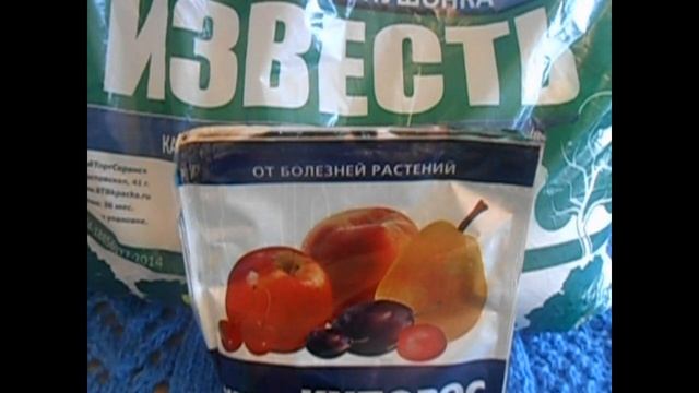 Поездка на дачу. Что купила для хорошего урожая. смотреть онлайн