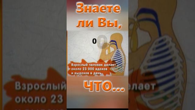 Знаете ли вы, Что? Лёгкое смотреть онлайн