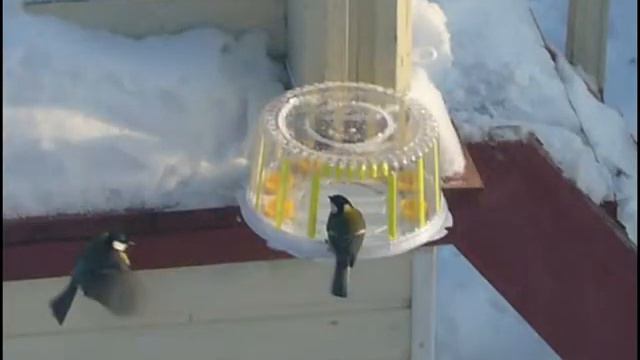 Яшин А. "Покормите птиц" смотреть онлайн