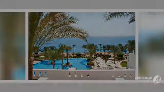 все отели египта шарм эль шейх смотреть онлайн