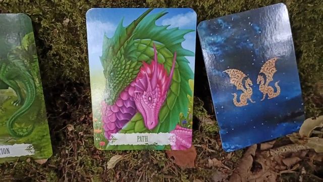 Woodland Storm Dragon Reading ??️? Pick a Card | Dragon Wisdom Oracle смотреть онлайн