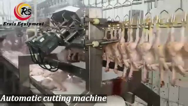 Trim Poultry Claws Effortlessly with Our Automatic Claw Cutting Machine смотреть онлайн