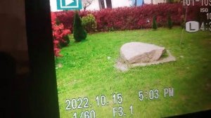 FujiFilm FinePix S3200