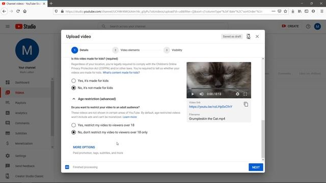 How to Upload a Video to YouTube from Your PC – from Start to Finish 2020 [Beginners Tutorial] смотреть онлайн