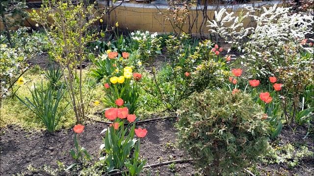 Одесса, Вербное воскресение, апрель 2020