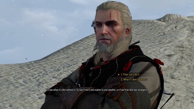 The Witcher 3 Next-Gen: Wild Hunt Walkthrough Gameplay Part 12 - No Commentary смотреть онлайн