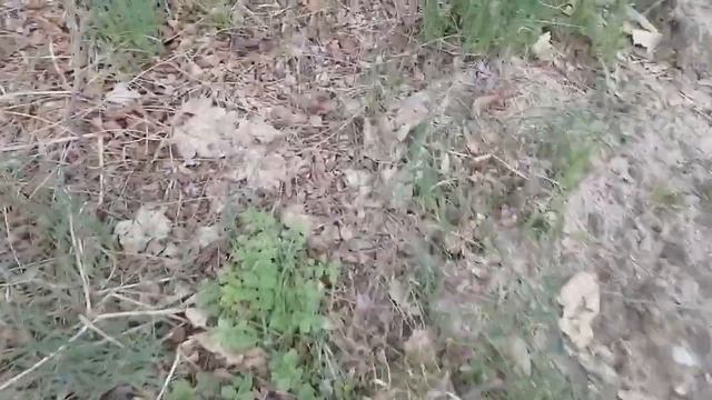 Время собирать камни/ Последние штрихи в оформлении калитки смотреть онлайн