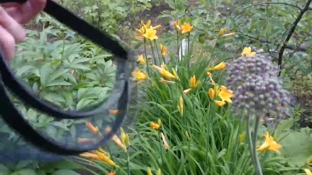 маска Arnetoli Motors SPO 102 для работы с триммером смотреть онлайн