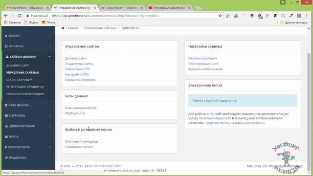 Хостинг Sprinthost.ru. Как привязать домен к своему хостингу смотреть онлайн