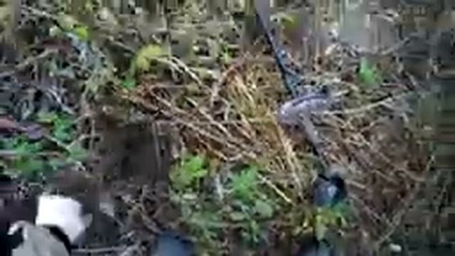 Покинутая Деревня коп с ТХ-850 смотреть онлайн