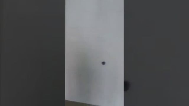 #ЦЕНЫ#КРАСНОДАРЕ#НА НЕДВИЖИМОСТЬ# смотреть онлайн