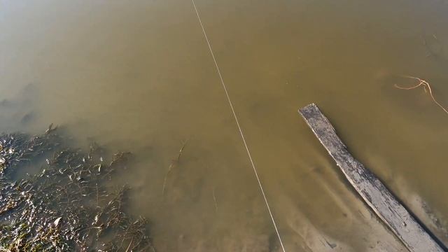 Летняя рыбалка на малой реке. Карась и щука в июле. смотреть онлайн