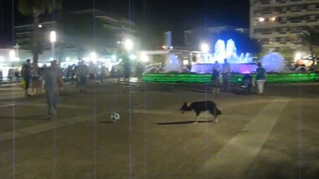 Собака-футболист смотреть онлайн