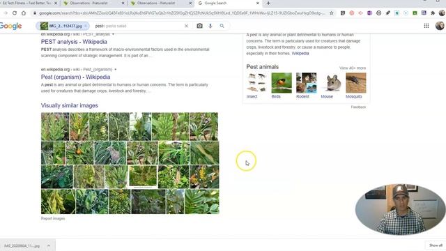 How to Improve Reverse Image Search Results смотреть онлайн