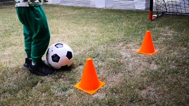 3 year old Izam 4-cone drill, enter Wilo the house cat смотреть онлайн