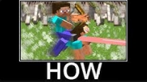 Minecraft mems "HOW"