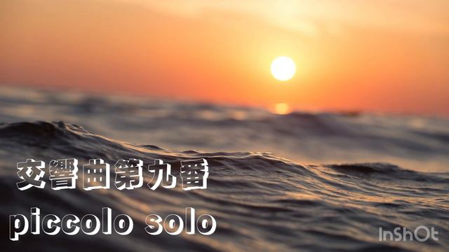 交響曲第九番♩ピッコロソロ смотреть онлайн