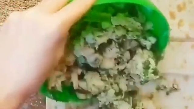 Веганские Рецепты