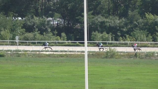 19.08.2018 - 5 Скачка на лошадях 3-х лет чистокровной верховой породы - Шейх Султан смотреть онлайн