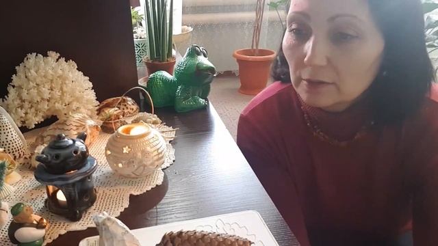 Дом в цветах// Комнатные цветы в январе// Мои мысли. смотреть онлайн