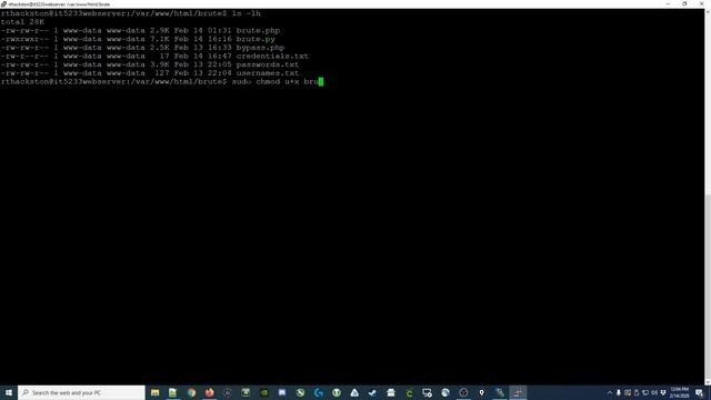 [041] Brute force logins using Python смотреть онлайн